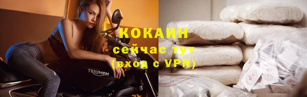 стафф Нефтекумск