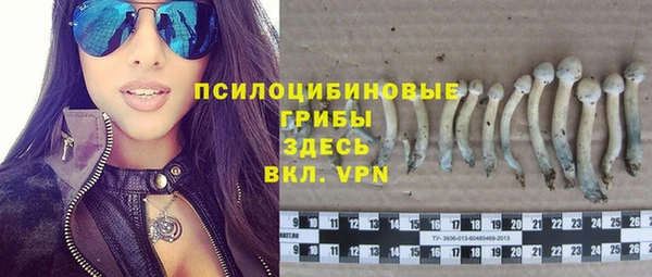молекула духа Наволоки