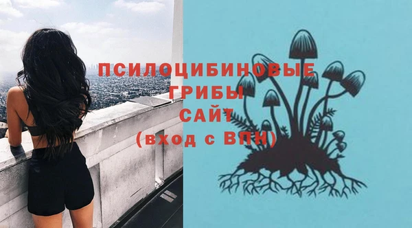 твердый Надым